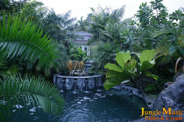  Water feature accent in a tropical landscape 