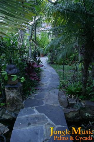  Tropical landscape complimented by a stone pathway.  