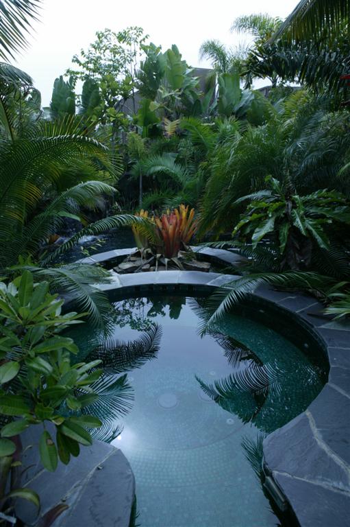 Water feature with palm accents