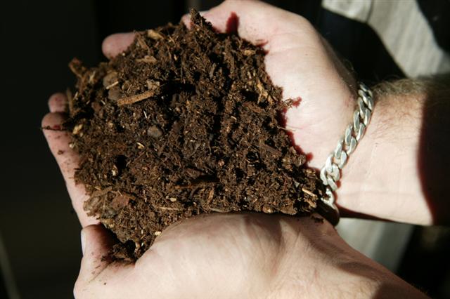  Bark mulch that appears to contain redwood shavings