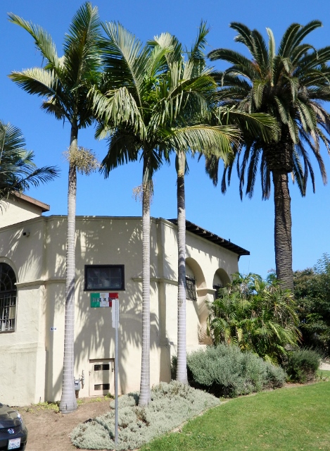  King Palms & Canary Palm, both adding overhead canopy