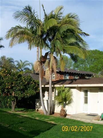  Residential planting as a triple