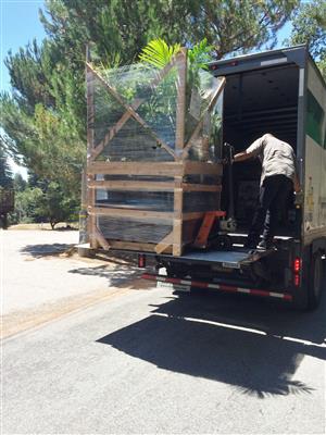 Pallet of palms being delivered to
    customer in Northern California