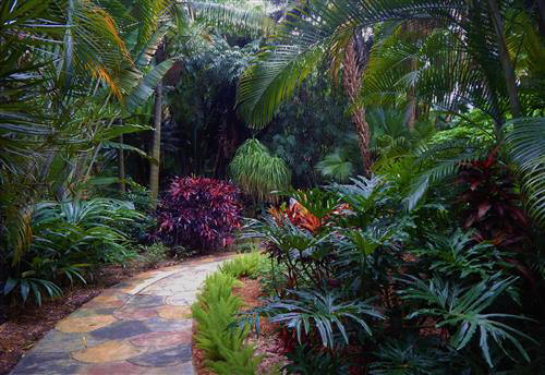  Lush species along a walkway