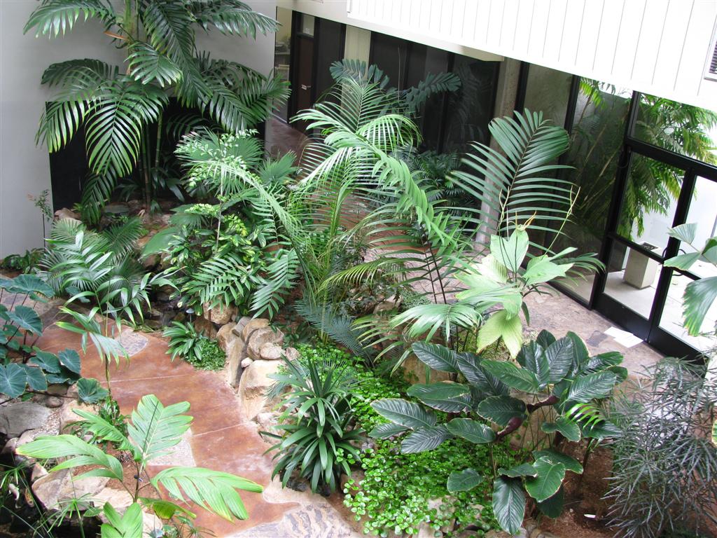  Interior courtyard using rare species of palms