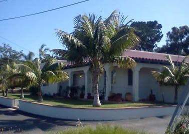 Multiple single Howea Palms in front of home lining
street retainer wall    