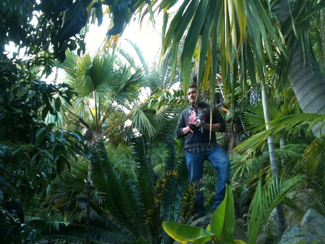  Jesse Bergman, Phil's son, in local tropical garden