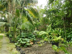  If you stopped in on the owner of this garden, he would willingly give you a tour and you'd learn what to plant.