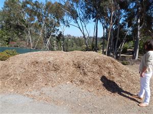  Mulch for a municipal park 