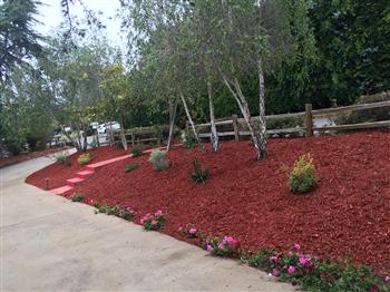 There are even colored ground covering mulches