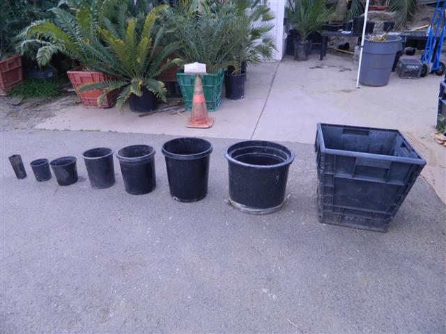  Assortment of black nursery pots ranging from small bands to 24 inch boxes 