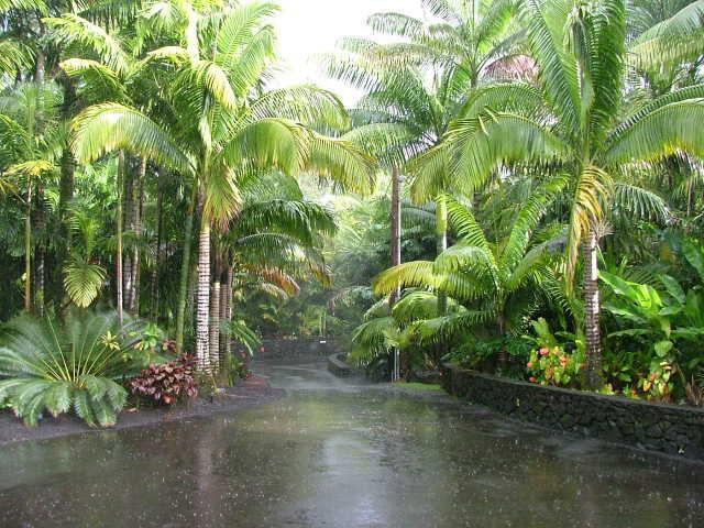  A driveway leading into a lush tropical garden (Photo BGL).