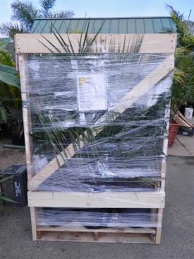  A pallet loaded with about 20 palm trees