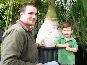  My son Jesse and grandson Morgan next to a Bottle Palm in the Nursery.  This plant is about 15 years old and in a 45 gallon container.