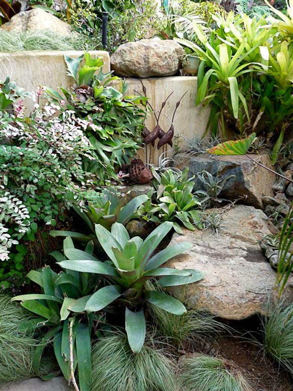  Rare plants involved with the hardscape