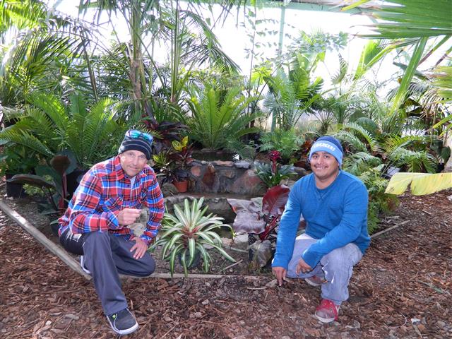  Rusty and Ricardo in our Palm House