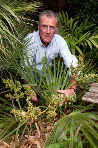  T. nanus, photo by Martin Gibbons