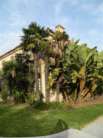  Three Windmills in domestic garden, San Diego