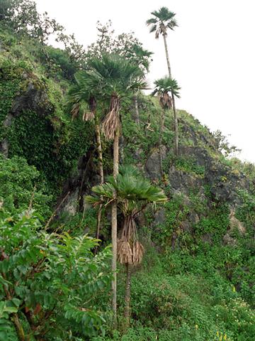  Habitat photo by Martin Gibbons & T. Spanner