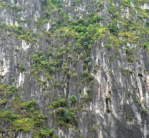  Stone Gate habitat, photo by R. M.   