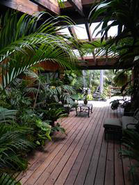 A  tropical breezeway patio garden.