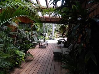  Entryway with rare plants 