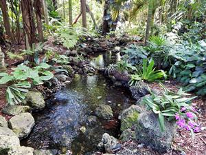  Garden with manmade creek