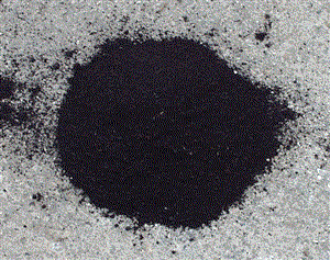  Bloodmeal, an organic fertilizer  