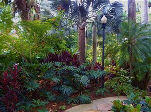  Lush garden adjacent to paths