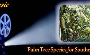 featured-image