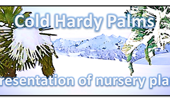 featured-image