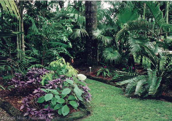  A nice combination of rare plants showing off this garden