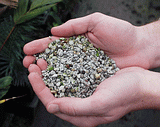  pumice for potting soil