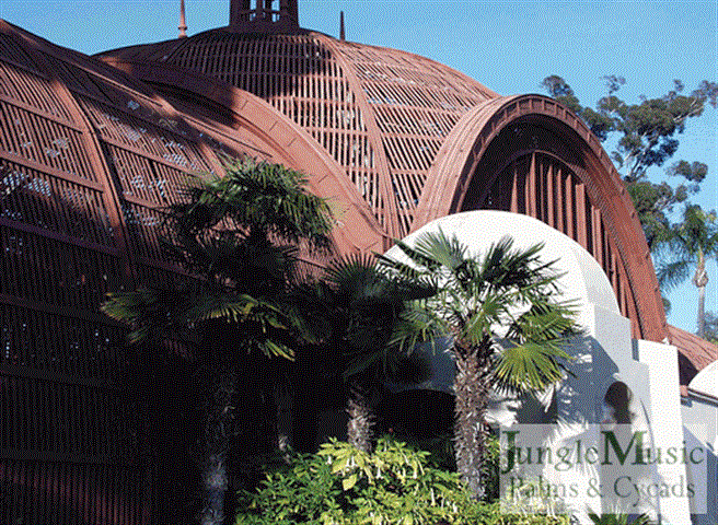  Windmills in Balboa Park, San Diego, CA