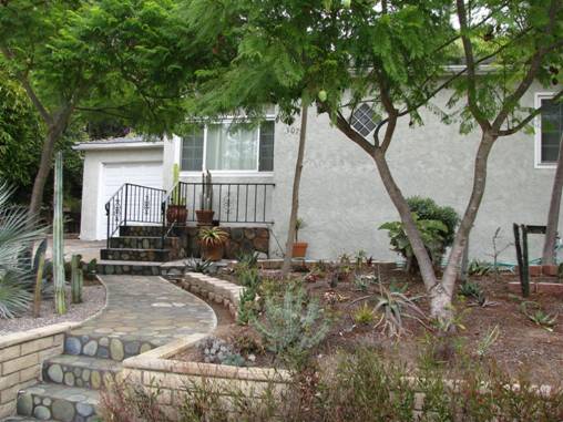 A yard where the homeowner decided on succulents and cactus.  It's not exactly "tropical" appearing.