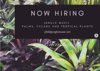 JungleMusic is hiring!