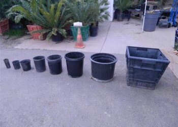 PLANT CONTAINER SIZES