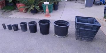 PLANT CONTAINER SIZES