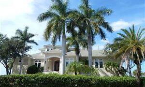 ROYSTONEA REGIA THE CUBAN ROYAL PALM