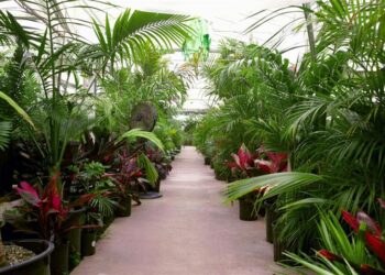 A LOOK AT THE NURSERY QUICK PHOTO TOUR