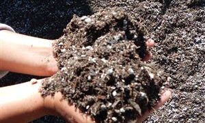 OUR CYCAD SOIL JUST GOT IN A NEW BATCH