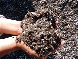 OUR CYCAD SOIL JUST GOT IN A NEW BATCH