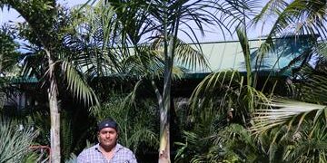 GAUSSIA MAYA A VERY DIFFERENT PALM FOR SO. CALIFORNIA