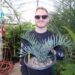 ENCEPHALARTOS TRISPINOSUS BLUE SOUTH AFRICAN CYCAD