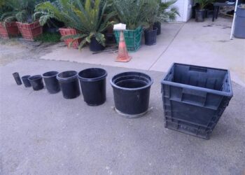 RECYCLE YOUR USED PLASTIC CONTAINERS AND OLD CARDBOARD BOXES / NEWSPAPERS