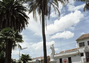 PARAJUBAEA TORALLYI THE SOUTH AMERICAN “COCONUT PALM” PRESENTLY IMPOSSIBLE TO FIND AVAILABLE