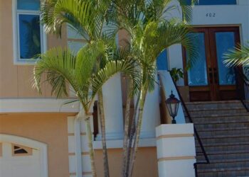 DYPSIS LUTESCENS